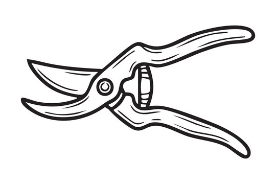 Line art depiction of gardening pruning scissors. Detailed drawing of horticultural snips with ergonomic handles. Precise sketch showing pair of trimming scissors for garden maintenance