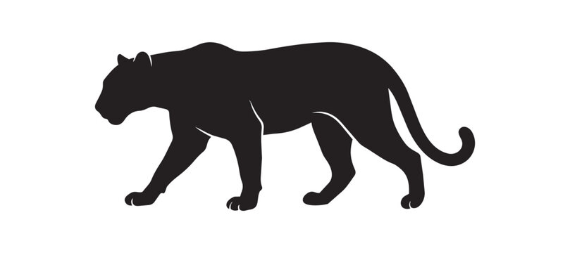 Silhouette of a black panther walking gracefully on a white background.