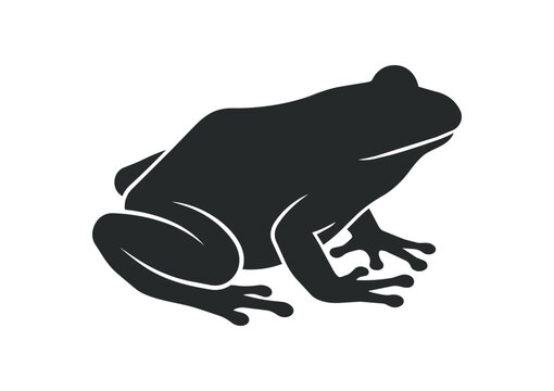Silhouette of a Frog in a Side Profile View.