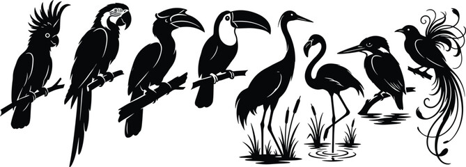 Set of exotic tropical bird silhouettes including cockatoo macaw hornbill toucan heron flamingo kingfisher and bird of paradise © Sirajul