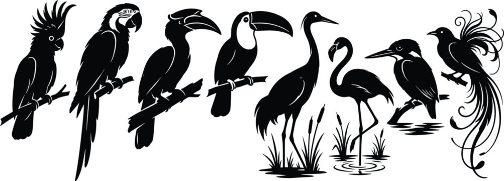 Set of exotic tropical bird silhouettes including cockatoo macaw hornbill toucan heron flamingo kingfisher and bird of paradise