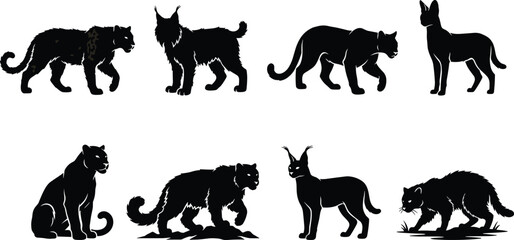 Wild cats and big felines black silhouette vector set featuring tiger, lynx, cougar, serval, panther, caracal, and wildcat. © Sirajul