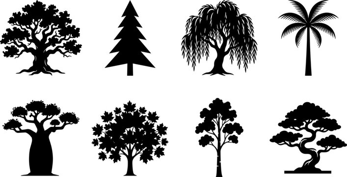 Tree silhouette collection featuring oak pine weeping willow palm baobab maple birch and bonsai tree vector shapes