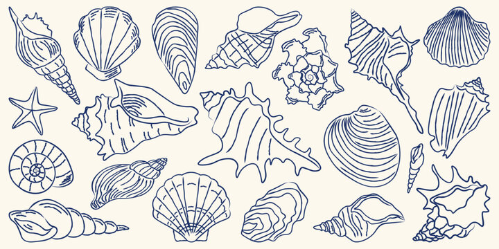 Collection of twenty minimalist seashell and starfish line art icons in dark blue stroke. Large set of nautical outline elements for elegant summer branding or marine patterns