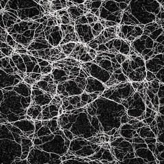 Fototapeta premium Intricate white network of tangled lines on black background for scientific concepts