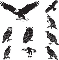 Obraz premium 18_Black_vector_illustration_of_b_1_20260314_023523_jpg
