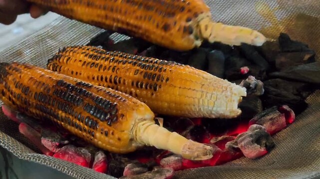 Closeup of fresh corn cobs roasting on burning hot charcoal over a wire mesh