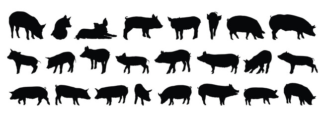 pig and piglet silhouette set. pig and piglet isolated farm animal silhouette icon vector collection © Yanka