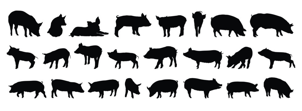 pig and piglet silhouette set. pig and piglet isolated farm animal silhouette icon vector collection