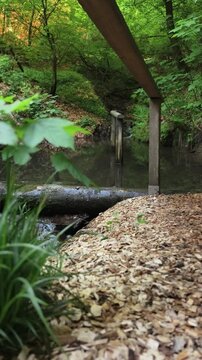 Ein Tretbecken inmitten eines gr&uuml;nen Waldes bei Gierskopp-Olsberg im Sauerland. Das klare Wasser des Bachlaufs ein perfekter Ort f&uuml;r Wellness.