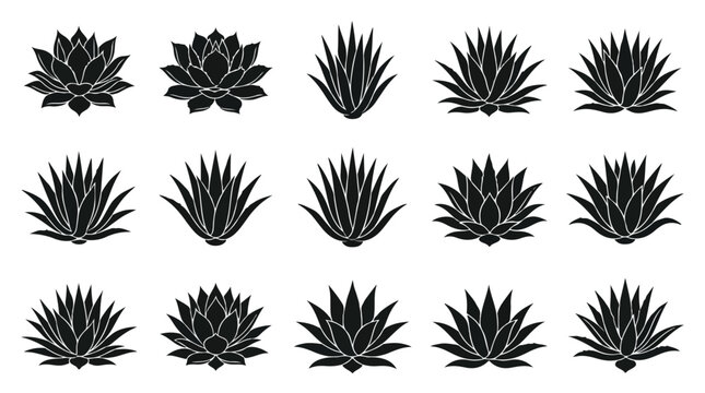 Agave plant silhouette icons, 15 desert succulent vector elements, black aloe vera and cactus plant symbols for tequila branding and landscaping design