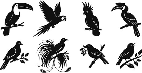 Tropical and Songbird Silhouette Collection Featuring Toucan Parrot Cockatoo Hornbill and Perching Birds © MDSHAHIDUL