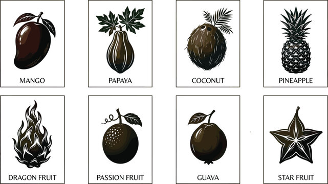 Tropical Fruit Collection Vector Icons Featuring Mango Papaya Coconut Pineapple Guava and Exotic Produce