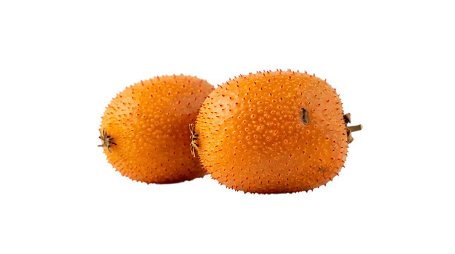 Two gac fruits isolated on transparent background with prickly skin
