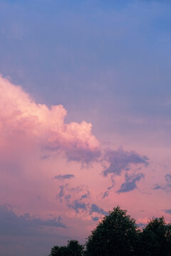 beautiful evening landscape. dark pink-purple-blue twilight sky with clouds and trees after sunset, abstract nature background. Harmony peaceful atmosphere. dramatic scenic nature view