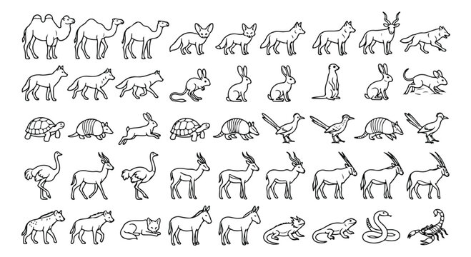 Desert animal line icons set, minimalist wildlife vector collection of 45 desert creatures, black outline safari fauna illustrations for educational design