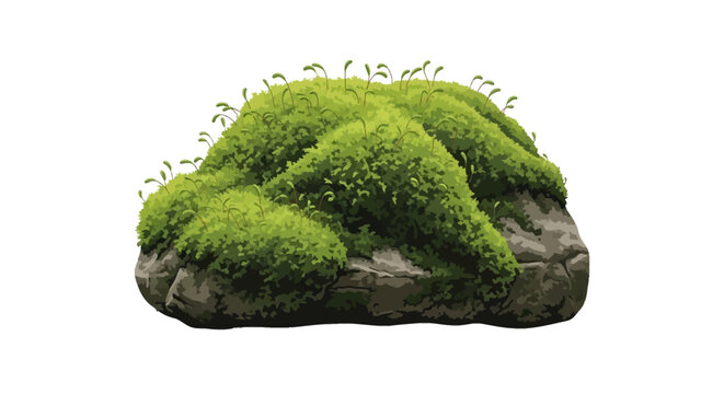 Vector illustration of a grey rock covered in dense green moss with emerging sporophyte stalks, isolated on a white background, showing detailed textures of bryophytes.