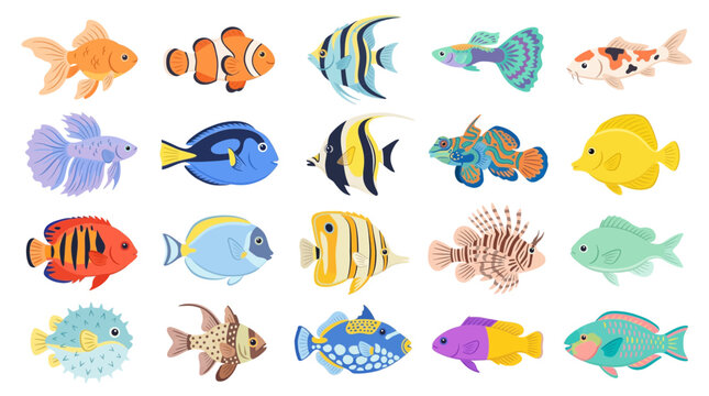 Collection of Diverse Aquarium Fish Species in Vibrant Colors.