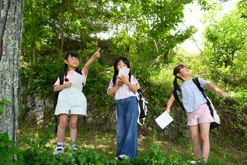 Fototapeta premium 新緑の森の中で地図を持ち上を指差す遠足の女子小学生たち
