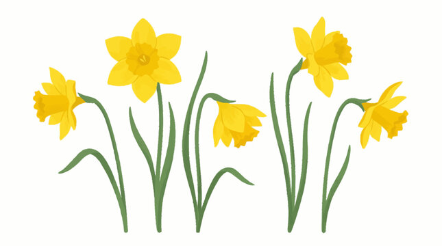 a bunch of yellow daffodils flowers.
