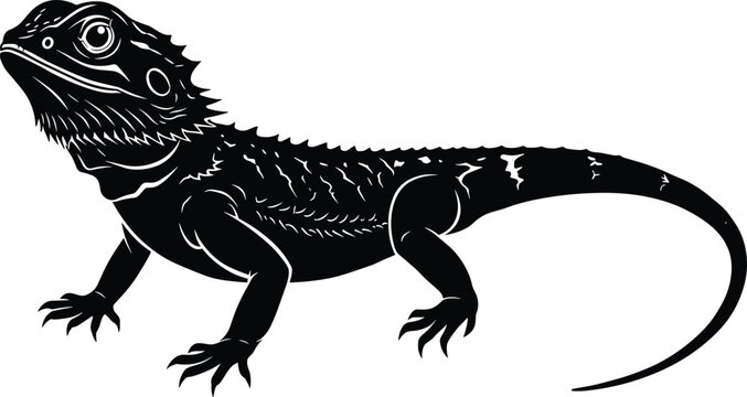 Bearded dragon lizard silhouette, reptile vector illustration, exotic pet artwork, detailed iguana drawing, wildlife animal tattoo design, scaly creature graphic