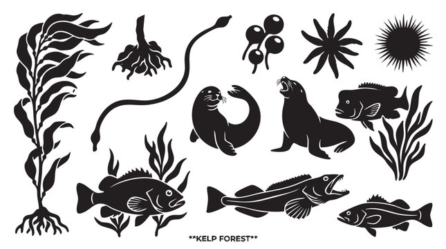 Illustrations of kelp forest marine life and sea creatures.