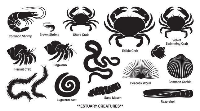 Estuary creatures silhouette vector icons set for marine life collection.