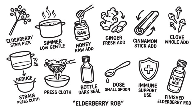 Elderberry rob making process vector icons set for health and immunity support.