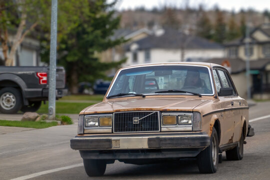 Calgary, Alberta, Canada. June 8, 2026. An eye-level front view of an old tan Volvo driving on a suburban street.