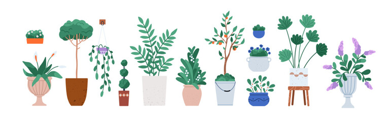 Obraz premium Plants in pots set. Green leaf and blooming flower houseplants. Tropical leaves, floral decorations, decorative trees in planter, flowerpot. Flat vector illustrations isolated on white background