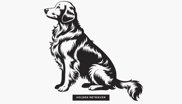 Very beautiful black-and-white engraved vector illustration featuring a GOLDEN RETRIEVER with detailed fur textures and an elegant breed label reading "GOLDEN RETRIEVER", rendered in refined monochrom