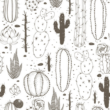 Seamless floral pattern with whimsy cacti and succulents, hand-drawn doodle illustration for cute home textile, wallpaper or background.