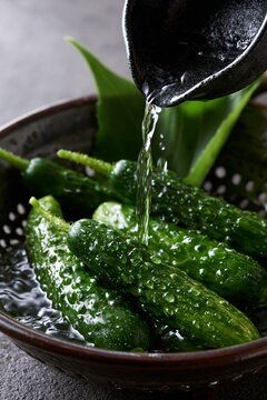 Fresh cucumber in ceramic colander with morning dew, cool water stream