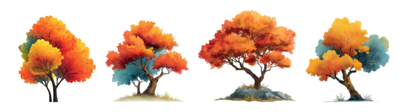 Autumn trees watercolor illustration set with vibrant fall foliage and changing leaves, providing seasonal nature elements isolated on white for graphic design