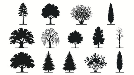 Collection of Diverse Forest Tree Silhouettes for Natural Landscape Designs © matahari