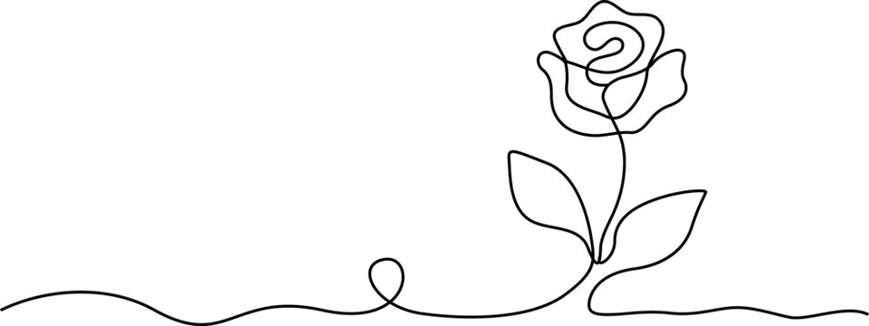 Continuous line drawing Minimalist rose line art, single continuous line drawing, black and white floral design, simple elegant vector illustration