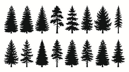 Fototapeta premium Set of evergreen forest tree silhouettes including pine fir and spruce trees