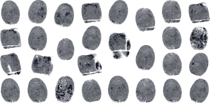 Detailed Black Fingerprint and Thumbprint Texture Vector Set for Biometric Security Identity Verification Cyber Forensic and Police Investigation Elements