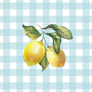 Hand-painted watercolor illustration of ripe yellow lemons with green leaves and small white blossoms, set against a light blue gingham (vichy check) background. Perfect for summer, kitchen decor