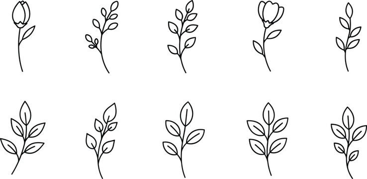 Minimal leaf branches and flower buds collection for organic pattern design botanical line sketches.