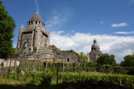 Tour C&eacute;sar et Coll&eacute;giale Saint-Quiraice de Provins avec vignes cultiv&eacute;es en contrebas