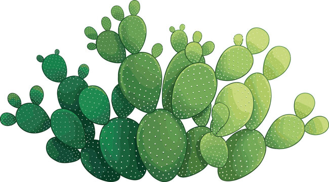 Green Prickly Pear Cactus Vector Illustration Patch with Thorny Desert Succulent Plants for Nature Designs, Textures, Patterns, and Botanical Prints