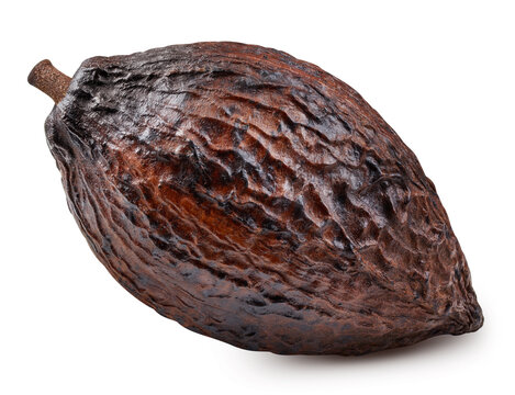 cacao isolated on white background
