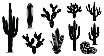 Black cactus plants and silhouettes © SanjidaSultana