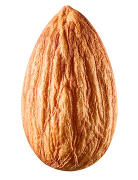 One almond nut isolated on white background. Ripe organic nut with clipping path