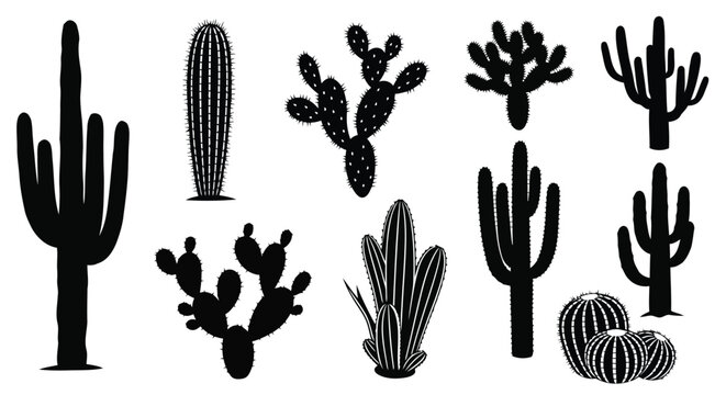 Black cactus plants and silhouettes
