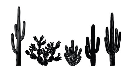 Black cactus plants on white background © SanjidaSultana