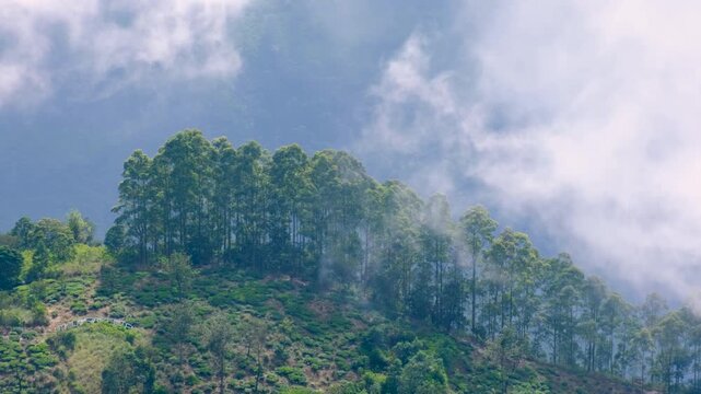 Scenic view moving clouds over tea plantations in rugged landscape of Haputale in highlands Sri Lanka