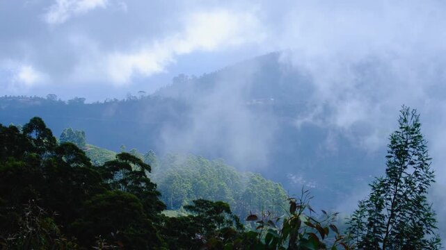 Rising cloud in remote mountainous landscape of tea plantations in highlands Sri Lanka