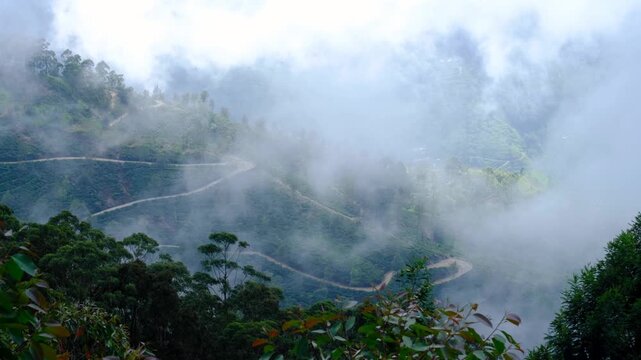Aerial view winding mountainous road through tea plantations with cloud cover in Haputale, highlands of Sri Lanka